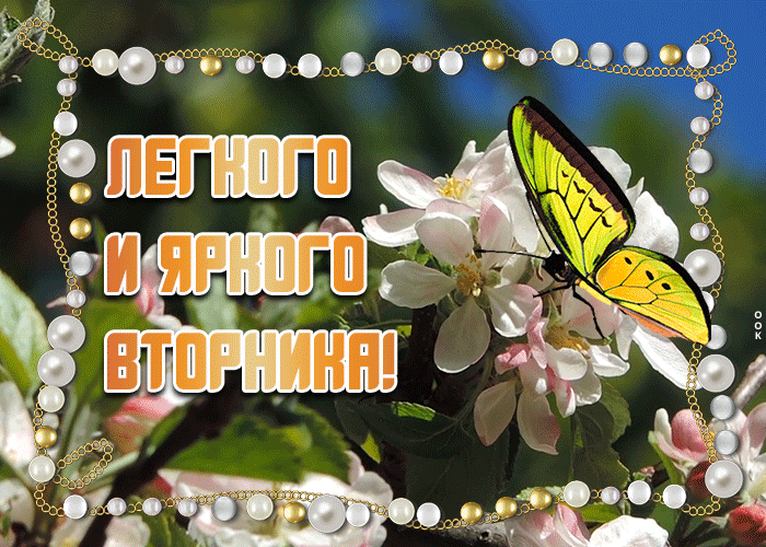 Открытка со вторником тебя Открытка со вторником тебя