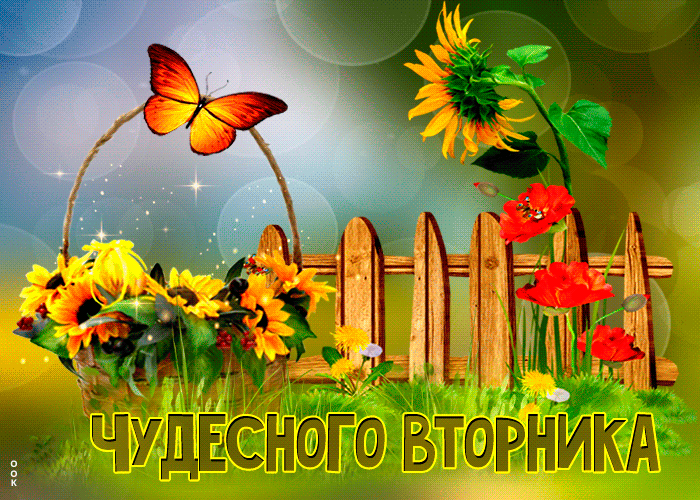Гифка Радостная открытка с подсолнухами Чудесного вторника. Гифка Радостная открытка с подсолнухами Чудесного вторника.