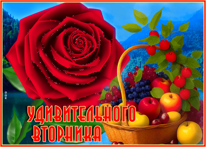 Особенная открытка с розой Удивительного вторника Особенная открытка с розой Удивительного вторника
