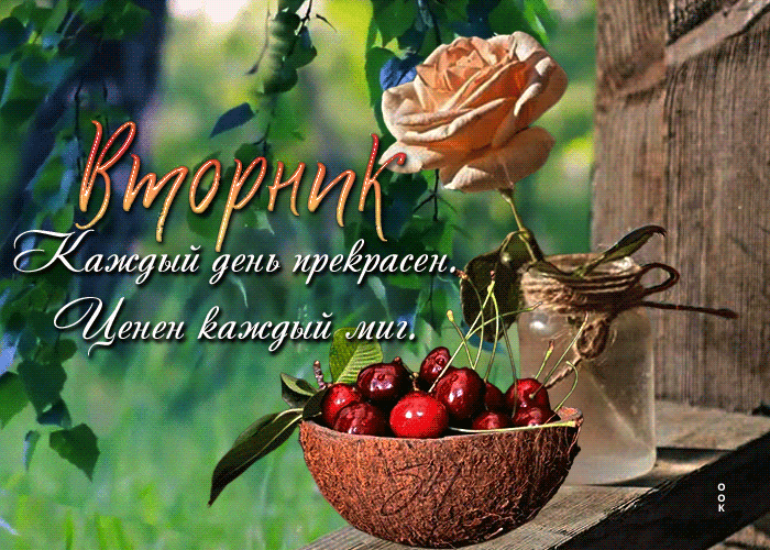 Гифка Вторник, Каждый день прекрасен, ценен каждый миг. Гифка Вторник, Каждый день прекрасен, ценен каждый миг.