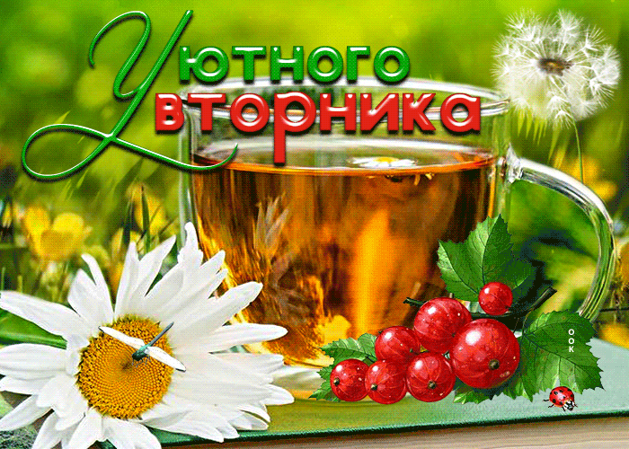 Летняя Красочная открытка с ромашкой Уютного вторника. Летняя Красочная открытка с ромашкой Уютного вторника.