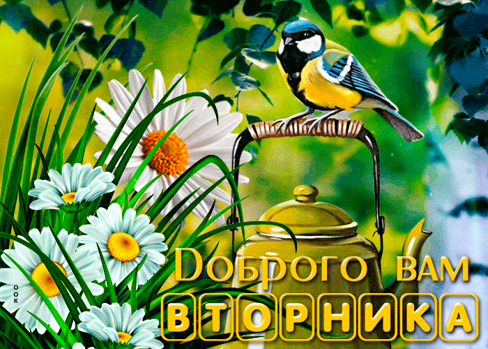 Нежная открытка с птичкой Доброго вам вторника Нежная открытка с птичкой Доброго вам вторника