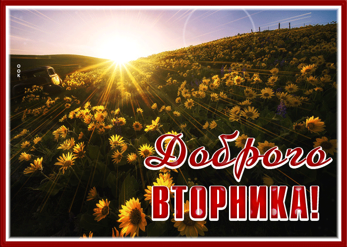 Красивая летня гифка доброго вторника с цветочной поляной. Красивая летня гифка доброго вторника с цветочной поляной.