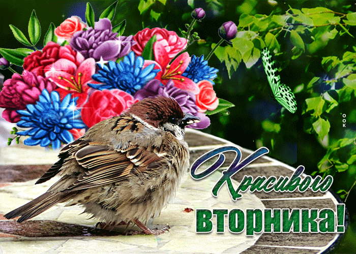 Славная открытка Вторник! Солнышка вам побольше Славная открытка Вторник! Солнышка вам побольше