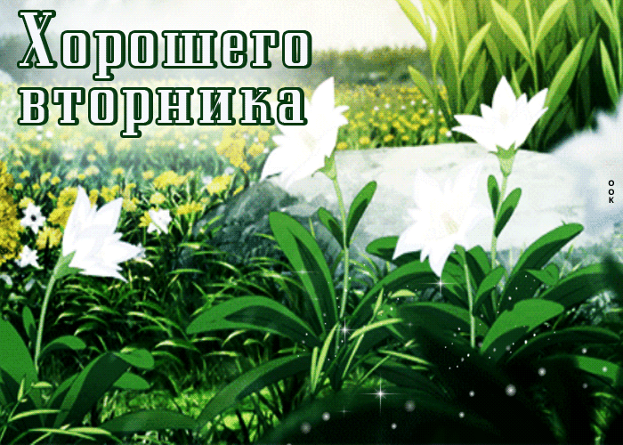 Летняя Изысканная открытка с цветами Хорошего вторника. Летняя Изысканная открытка с цветами Хорошего вторника.