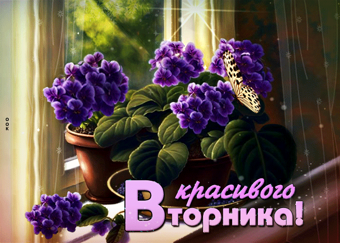 Магическая открытка с цветочками Красивого вторника! Магическая открытка с цветочками Красивого вторника!