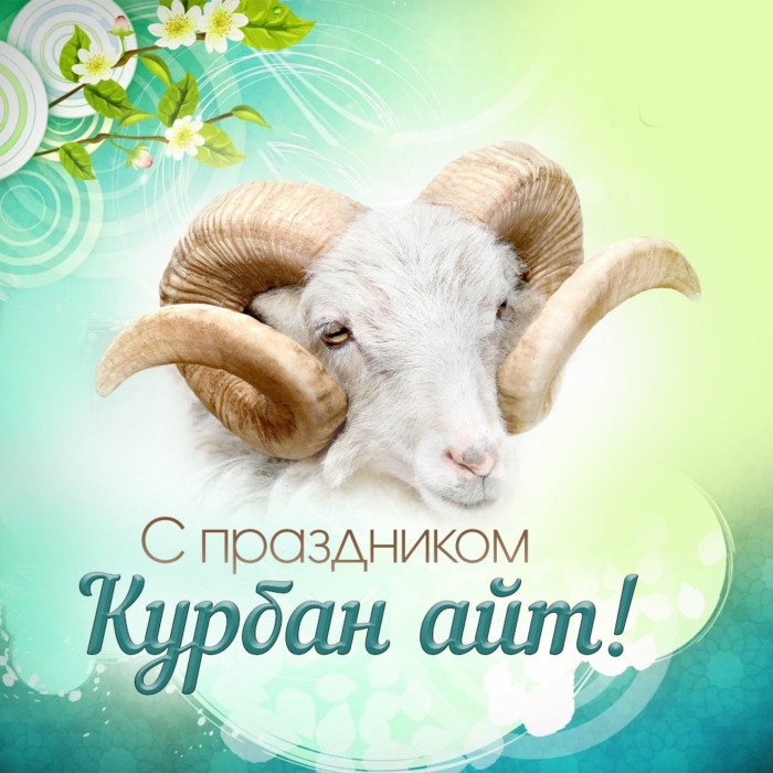 Картинка на Курбан Байрам — Под сводами мечети.