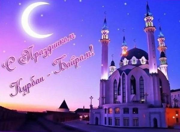 Отправляйте открытку на компьютер или телефон бесплатно.