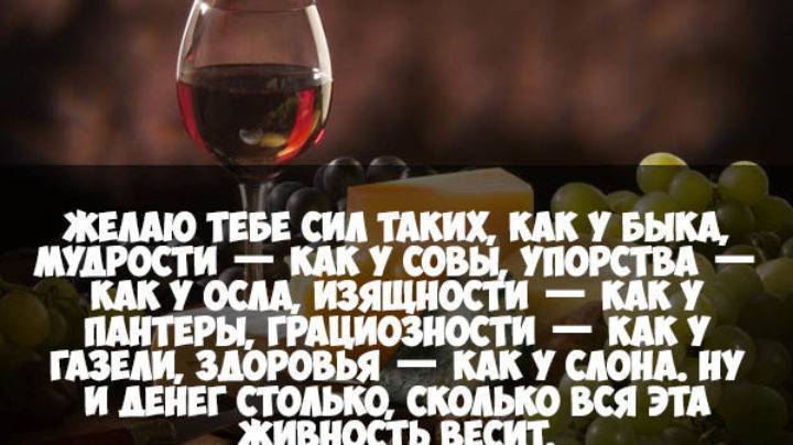 Хостинг картинок yapx.ru