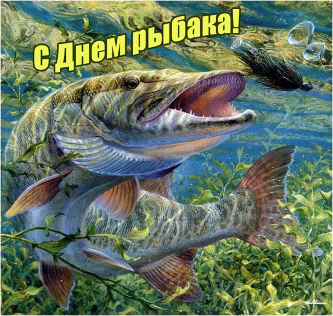 Прикольные картинки с днем рыбака порадуют всех любителей рыбалки, отправить бесплатно.