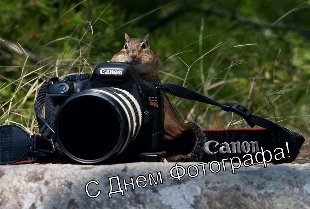 Смешные и угарные Картинки с Днем фотографа. Смешные и угарные Картинки с Днем фотографа.