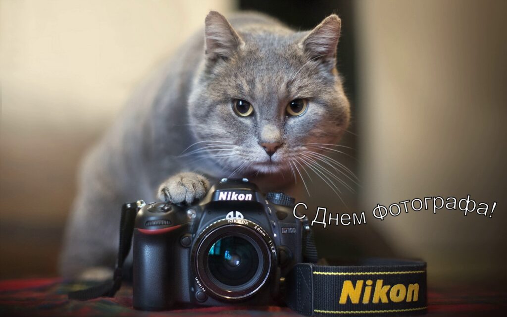 С днем фотографа! С днем фотографа!