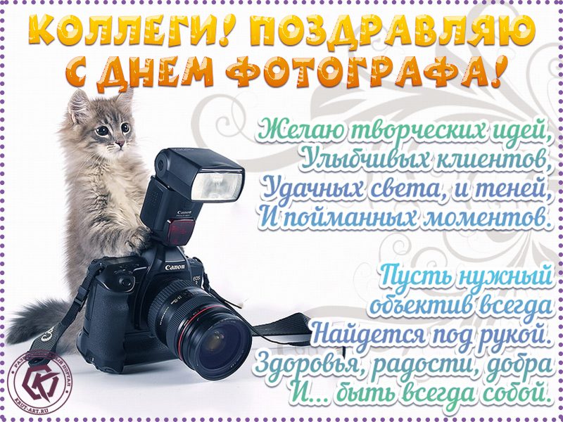 Весёлые Картинки с Днём Фотографа 2023 поднимут настроение ваших друзей. Весёлые Картинки с Днём Фотографа 2023 поднимут настроение ваших друзей.