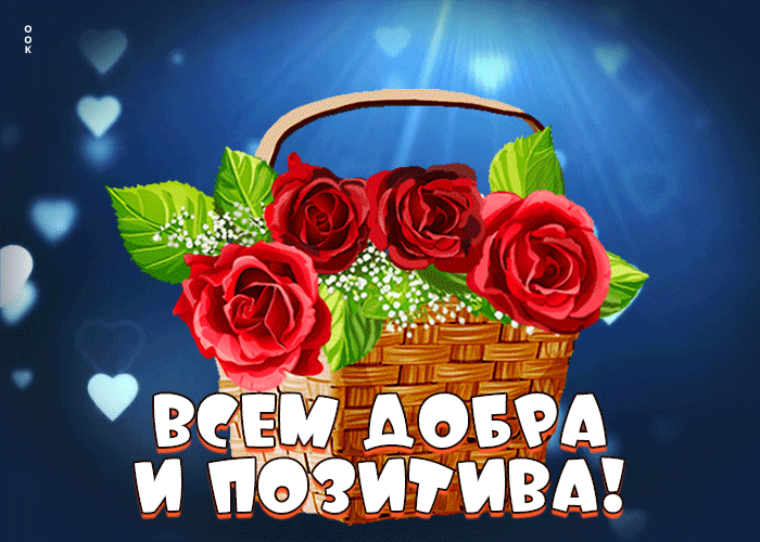 Яркая открытка Всем добра и позитива С розами.