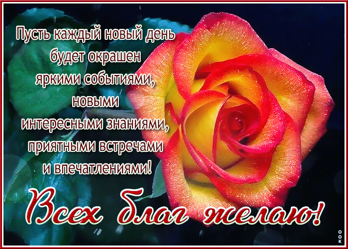 Цветастая открытка с розой Всех благ желаю!