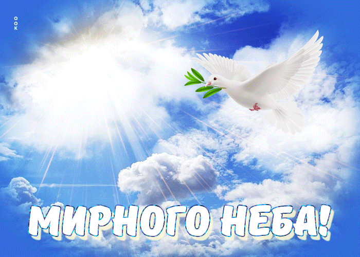 Гифка Неповторимая открытка с голубем Мирного неба.
