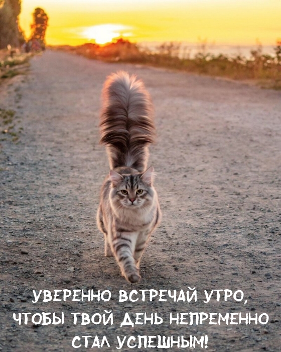 И не забывайте, что каждый новый день — это подарок, который стоит дарить и получать с благодарностью и улыбкой. И не забывайте, что каждый новый день — это подарок, который стоит дарить и получать с благодарностью и улыбкой.
