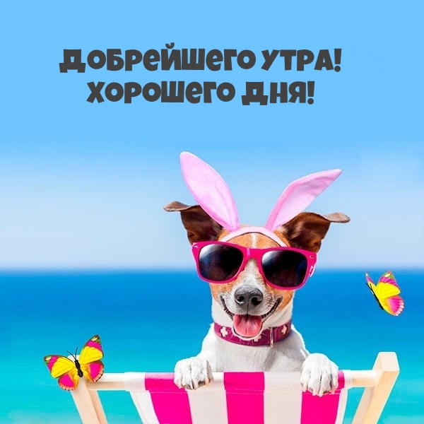 Хостинг картинок yapx.ru