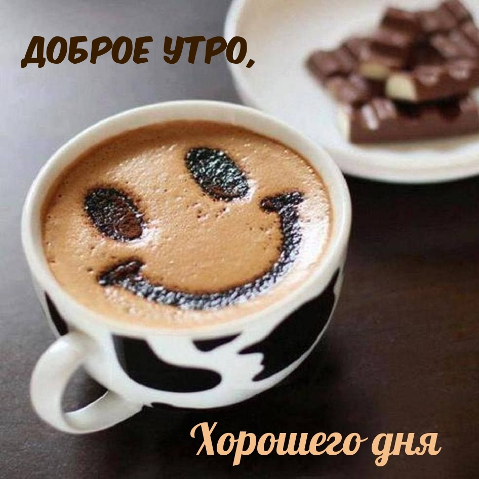 Хостинг картинок yapx.ru