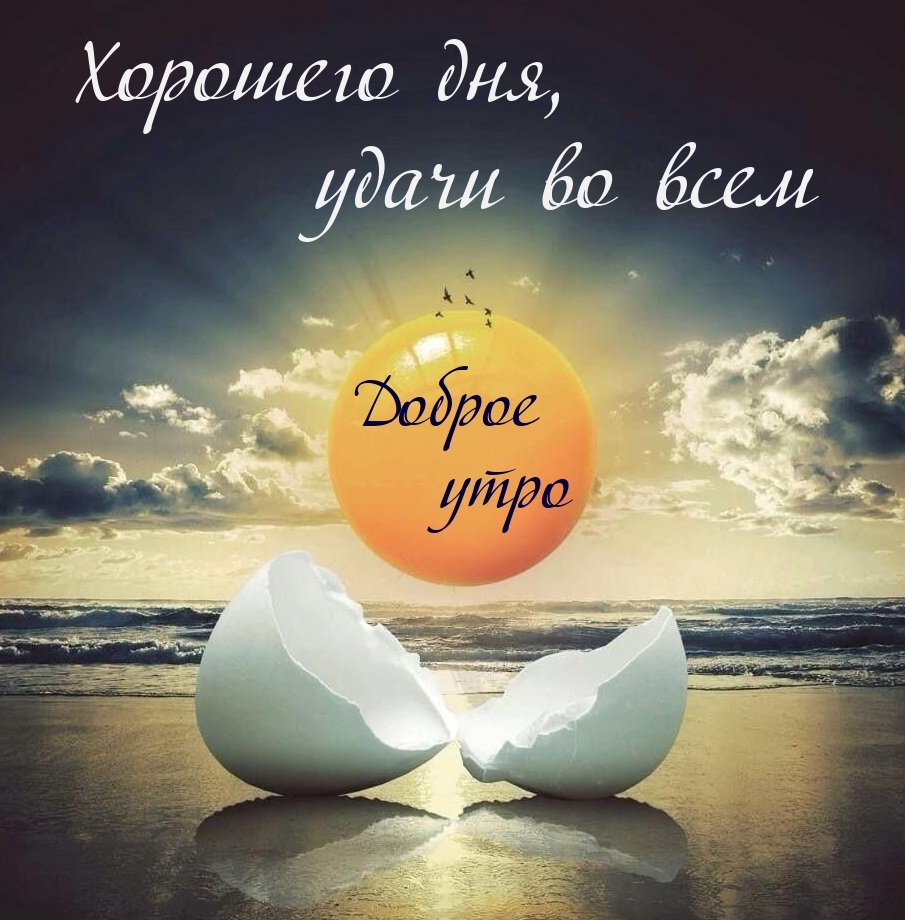 Хостинг картинок yapx.ru