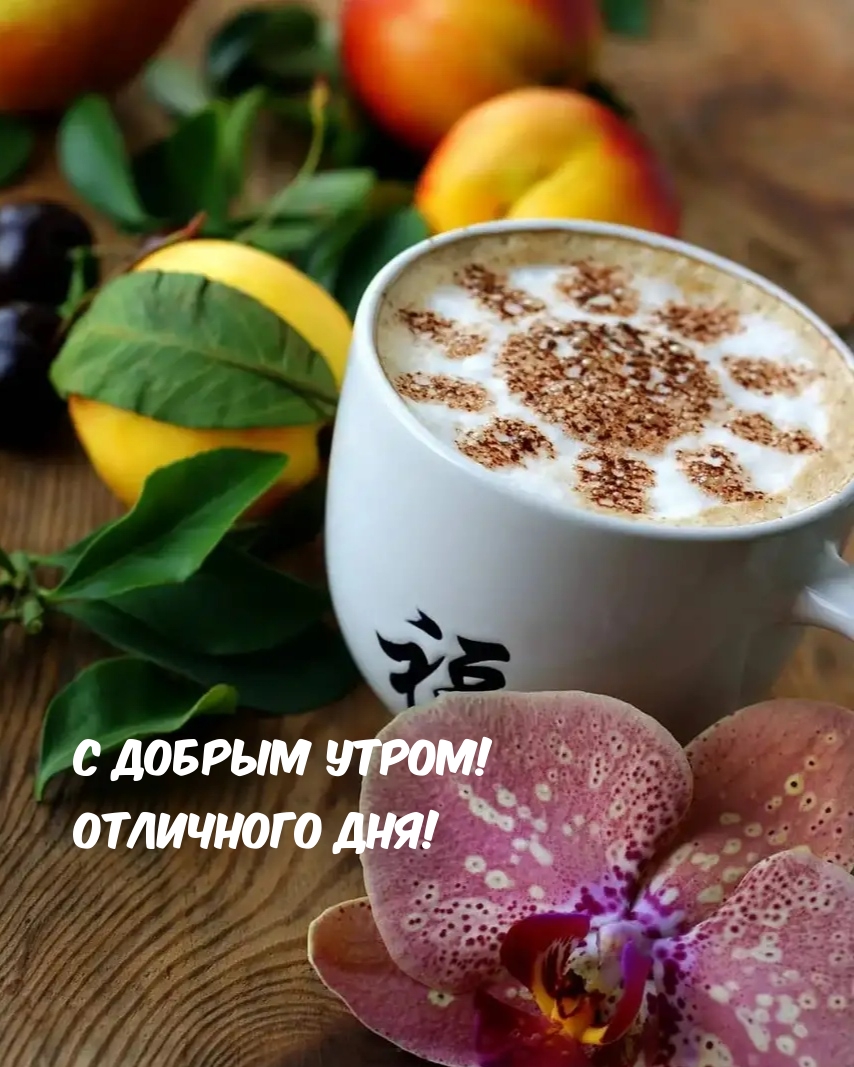 Хостинг картинок yapx.ru
