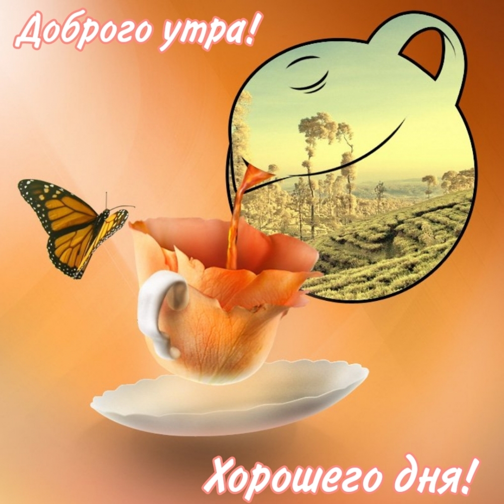Хостинг картинок yapx.ru