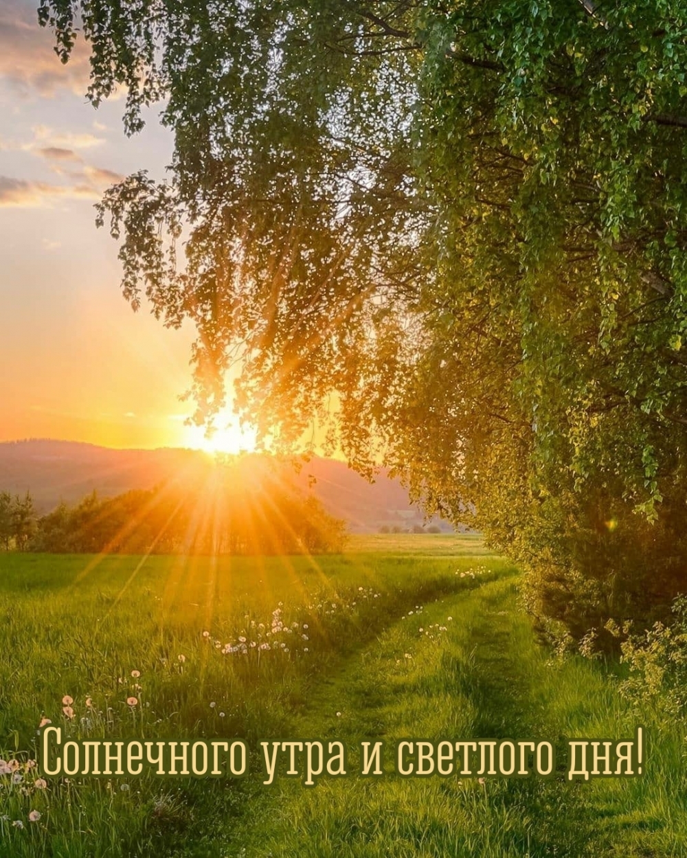 Хостинг картинок yapx.ru