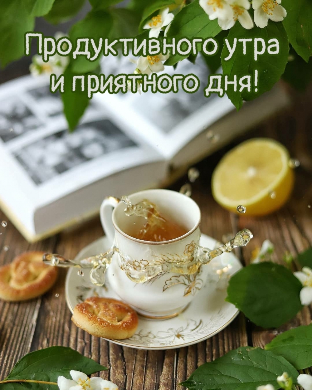 Хостинг картинок yapx.ru