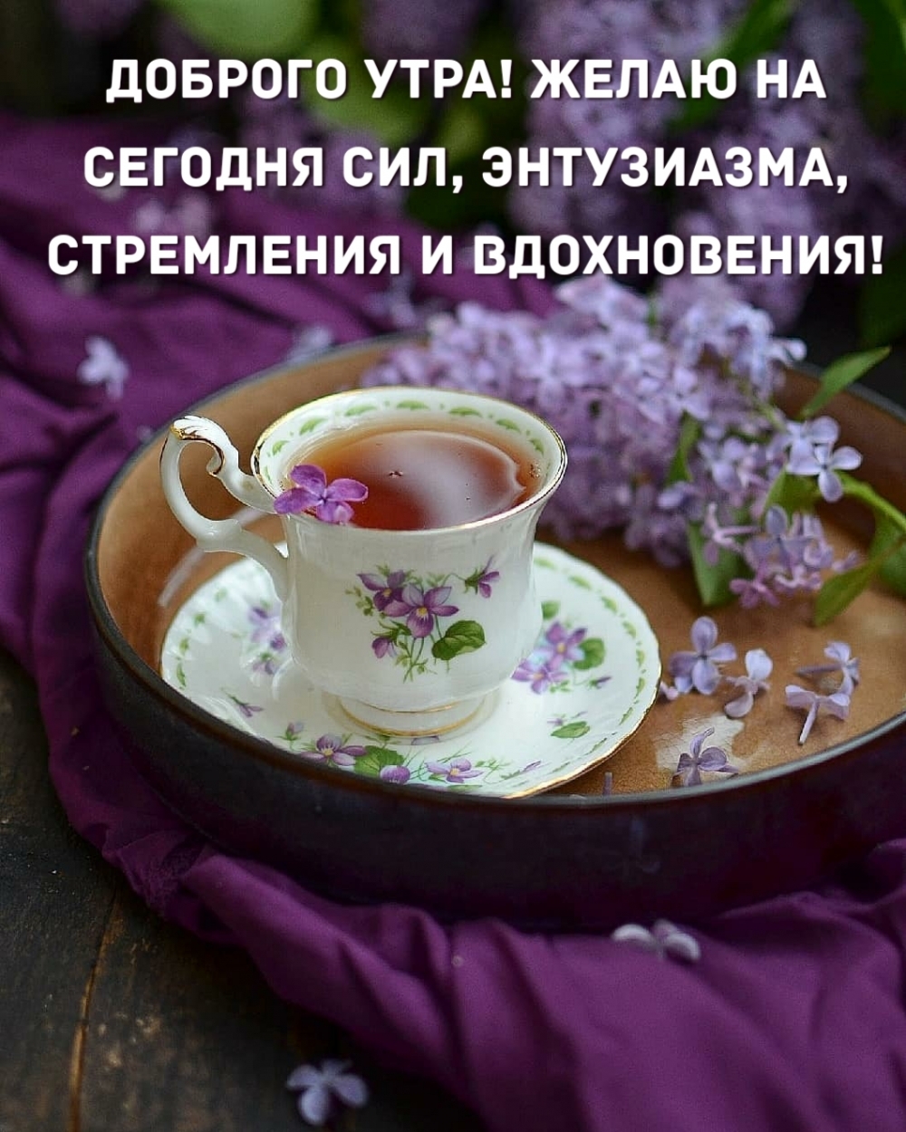 Хостинг картинок yapx.ru