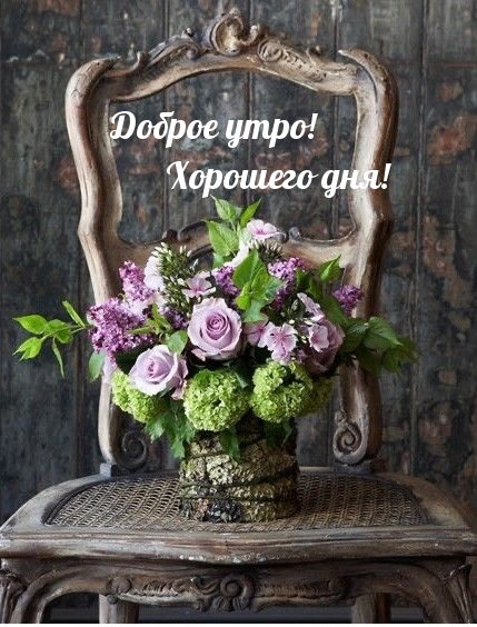 Хостинг картинок yapx.ru