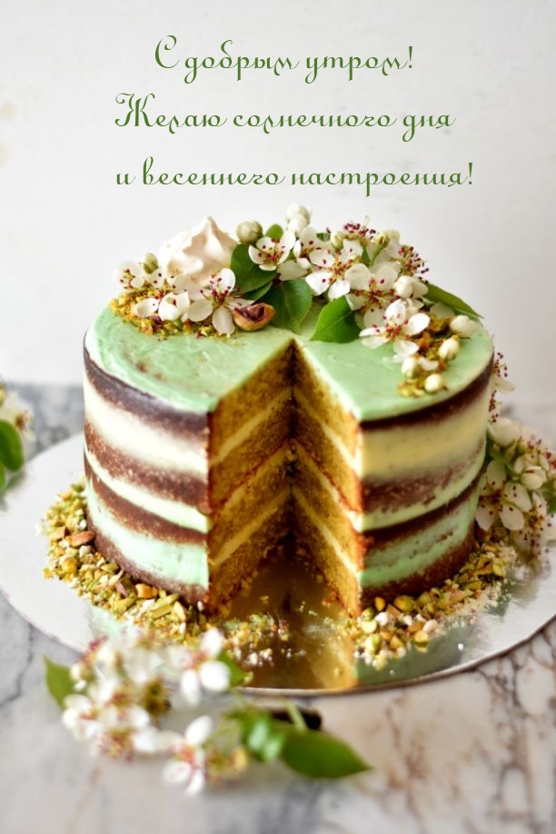 Хостинг картинок yapx.ru