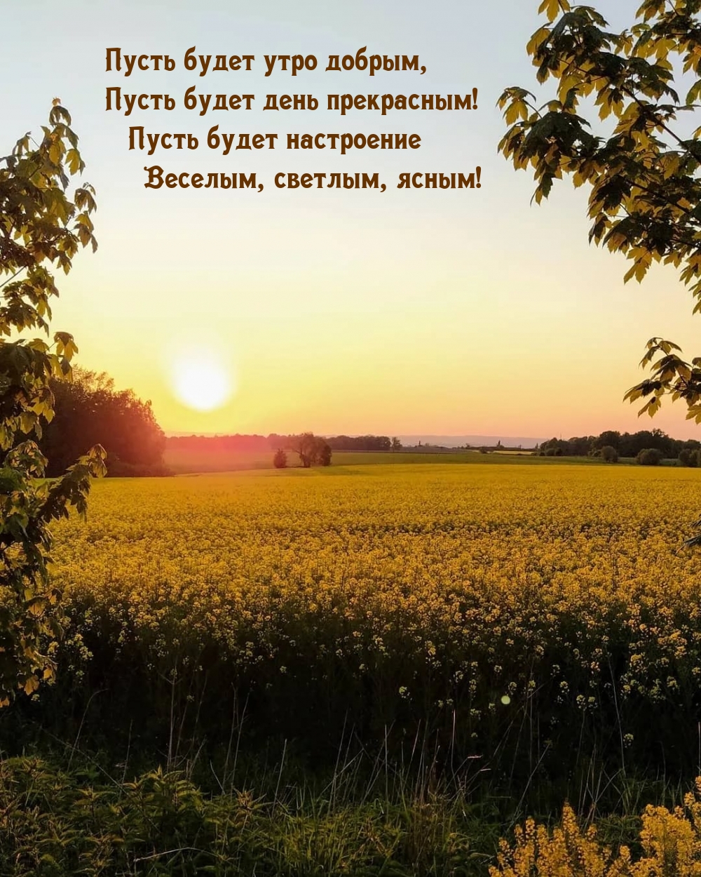 Хостинг картинок yapx.ru