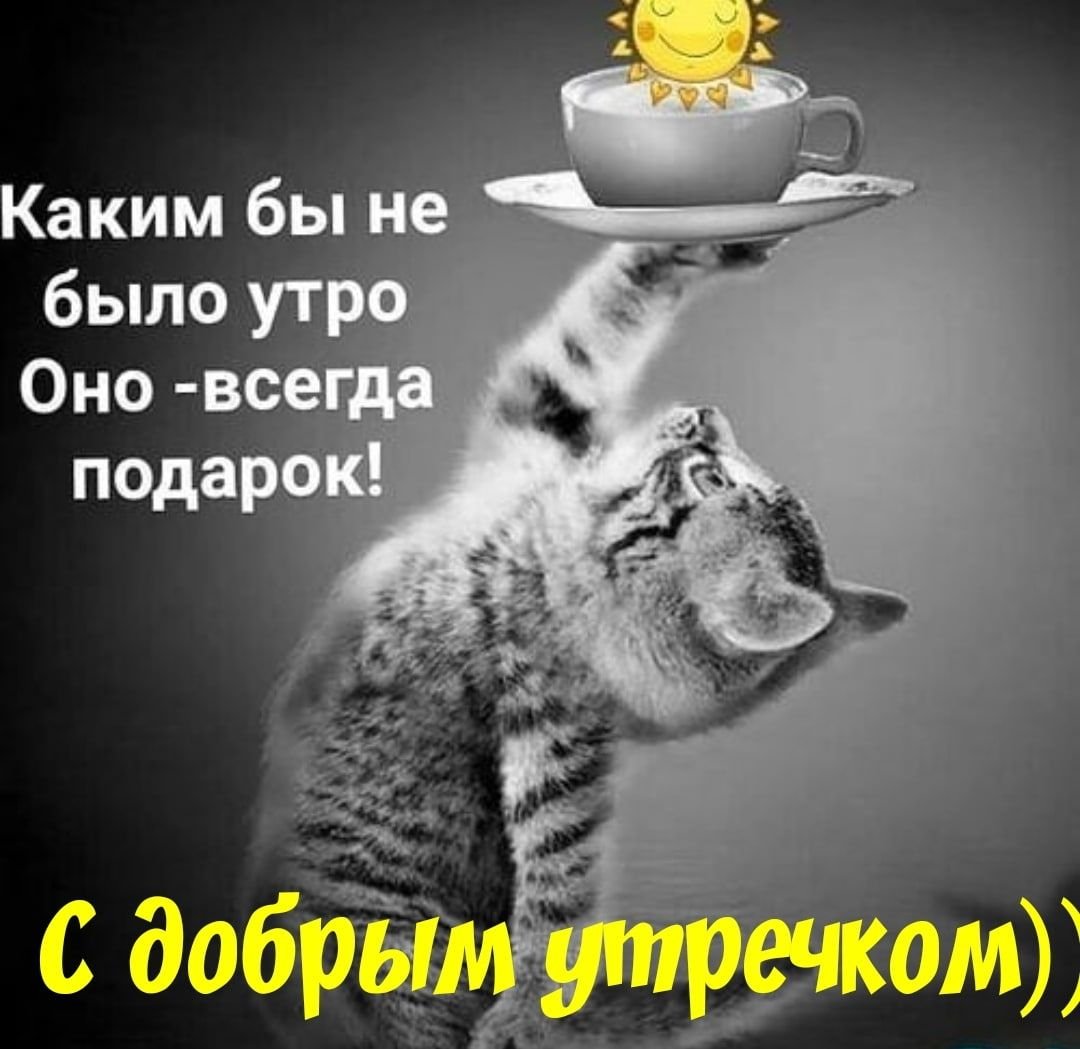Хостинг картинок yapx.ru