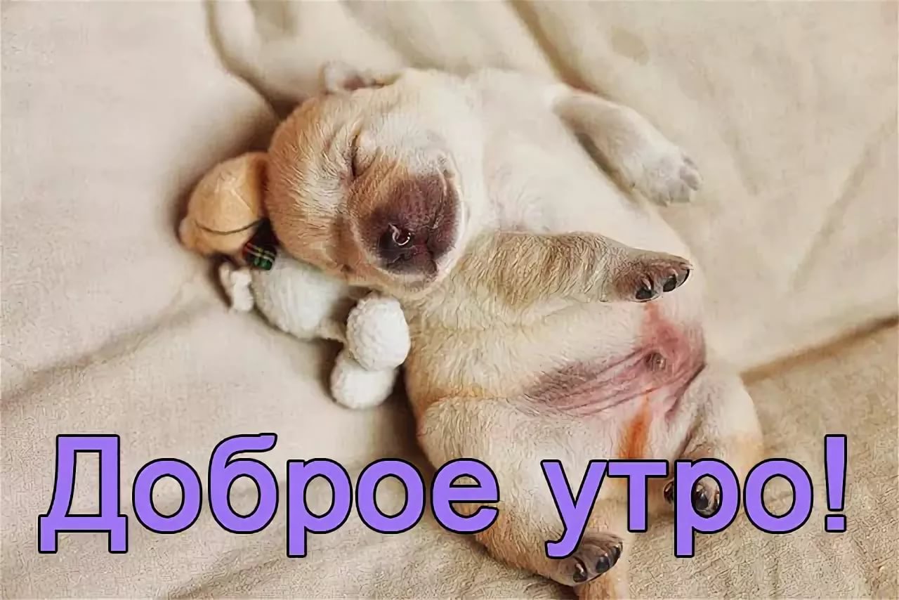 Хостинг картинок yapx.ru