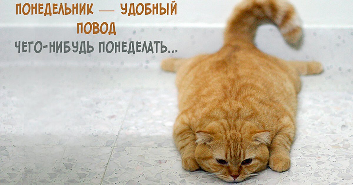 Хостинг картинок yapx.ru