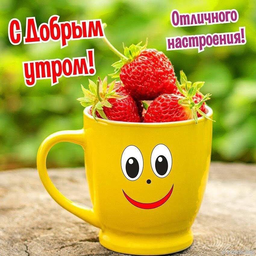 Хостинг картинок yapx.ru
