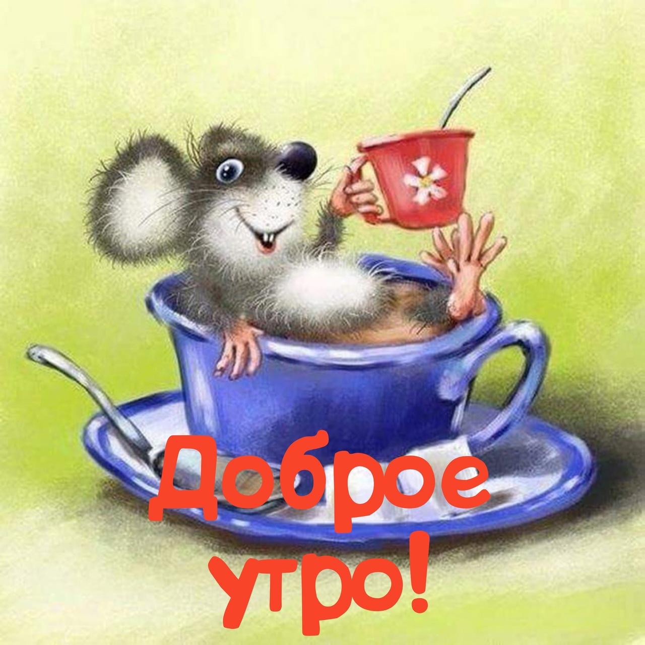 Хостинг картинок yapx.ru
