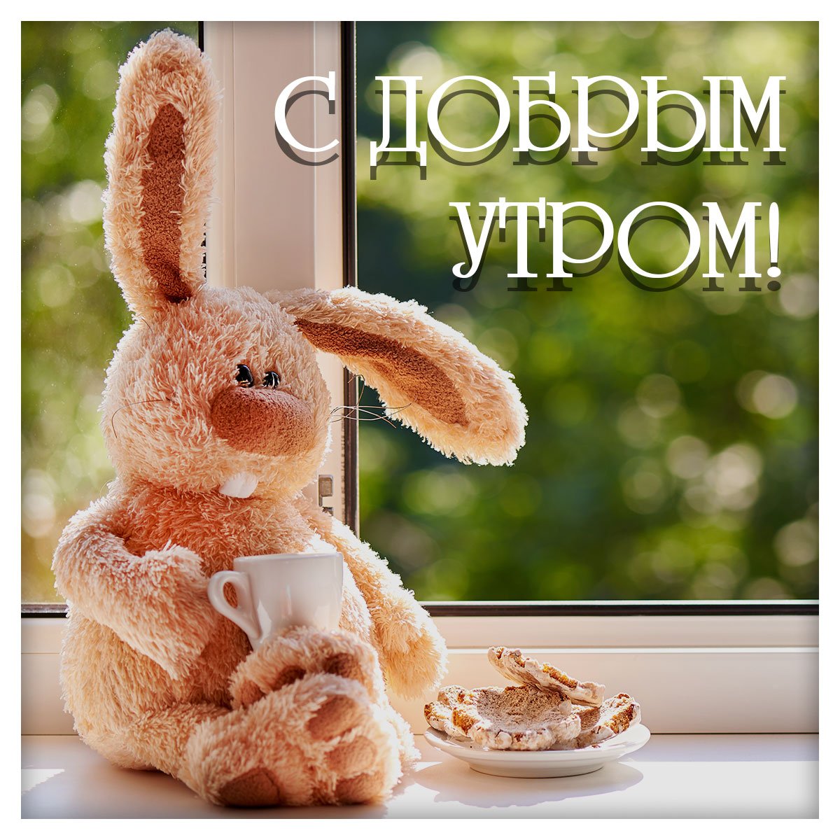 Хостинг картинок yapx.ru