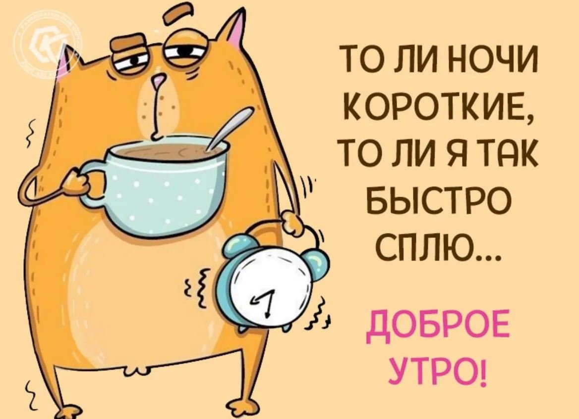Хостинг картинок yapx.ru