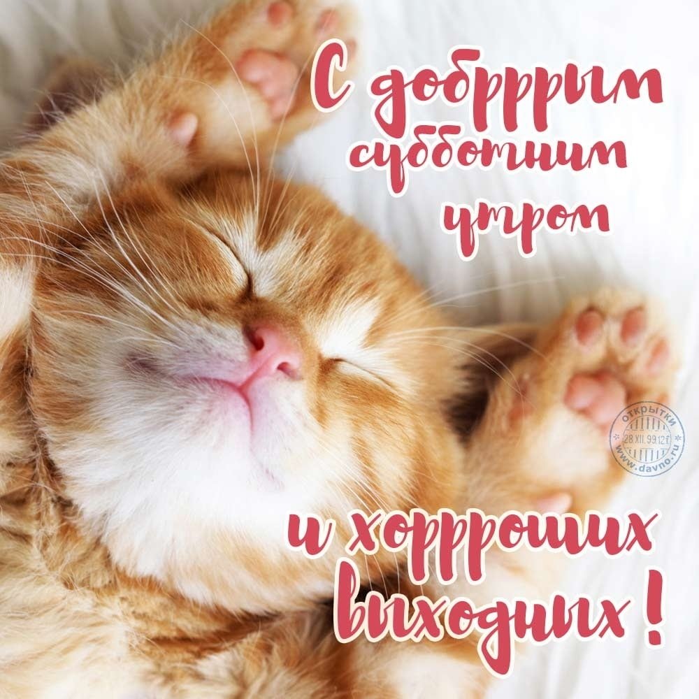 Хостинг картинок yapx.ru