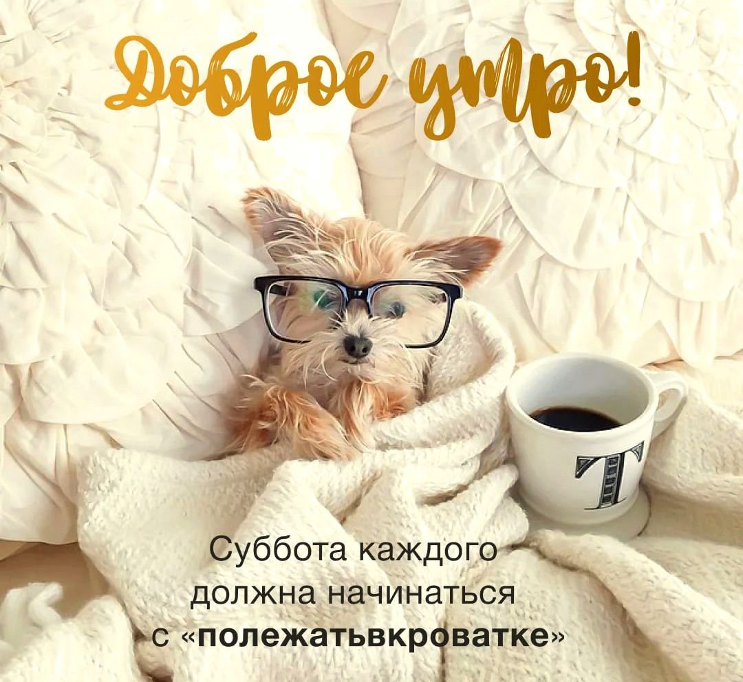Хостинг картинок yapx.ru