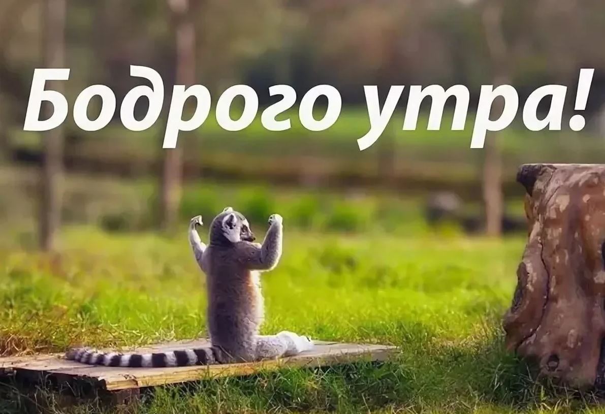 Хостинг картинок yapx.ru