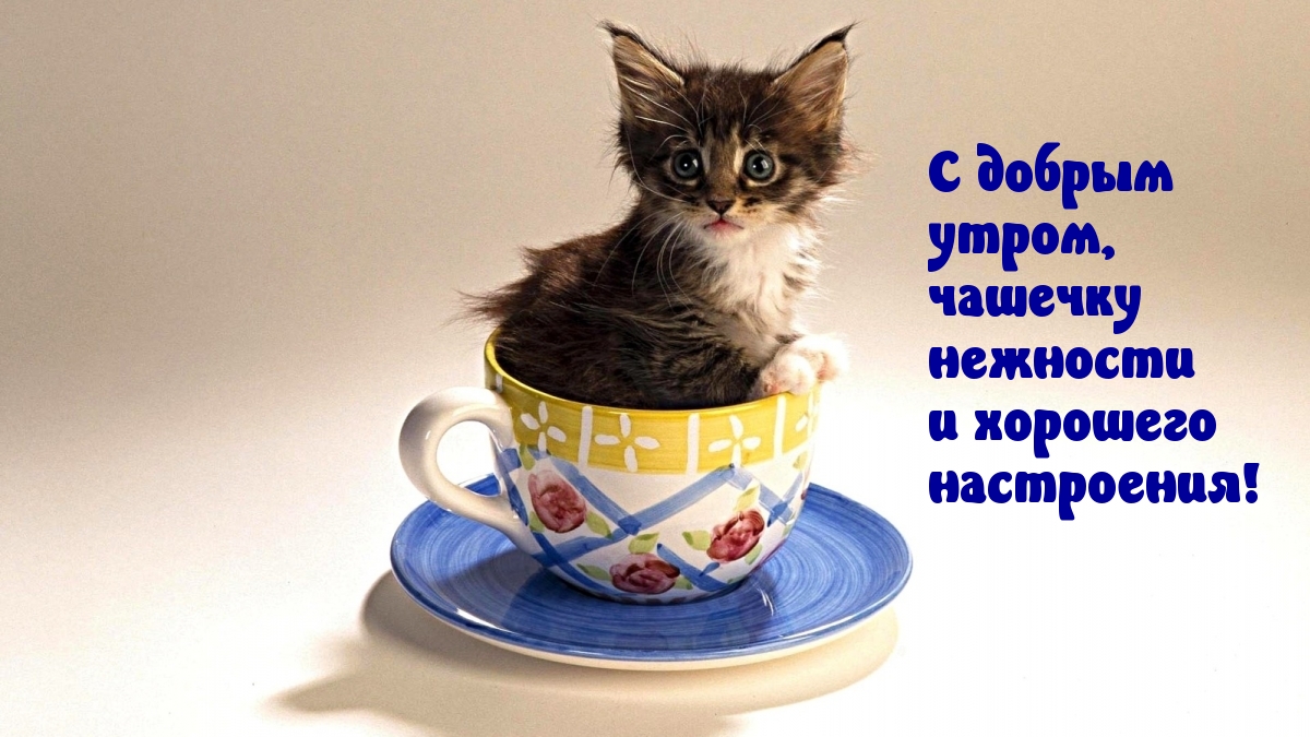 Хостинг картинок yapx.ru