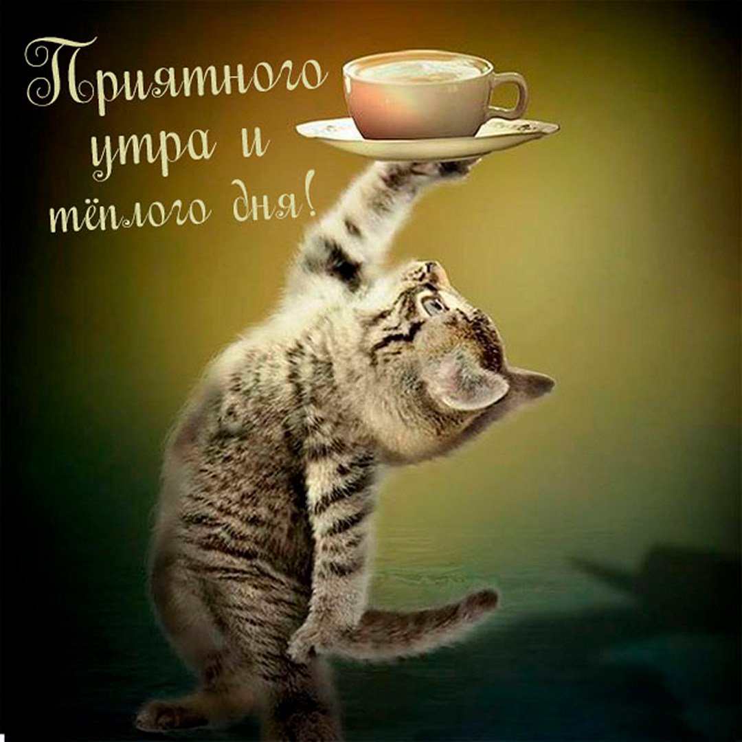 Хостинг картинок yapx.ru