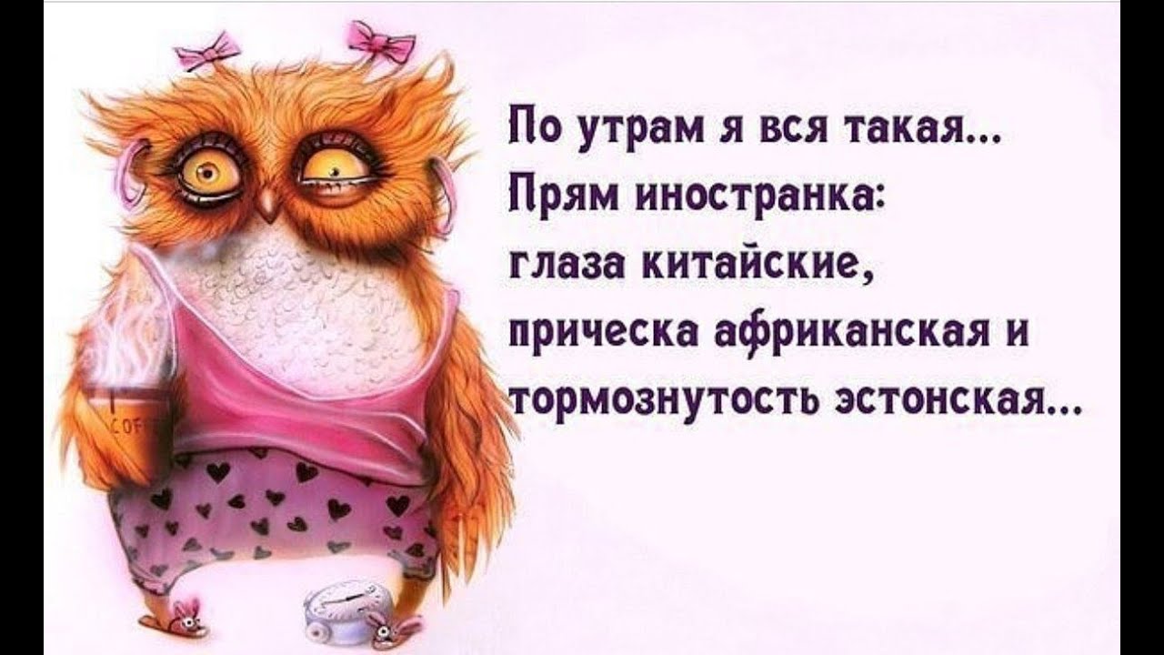 Хостинг картинок yapx.ru