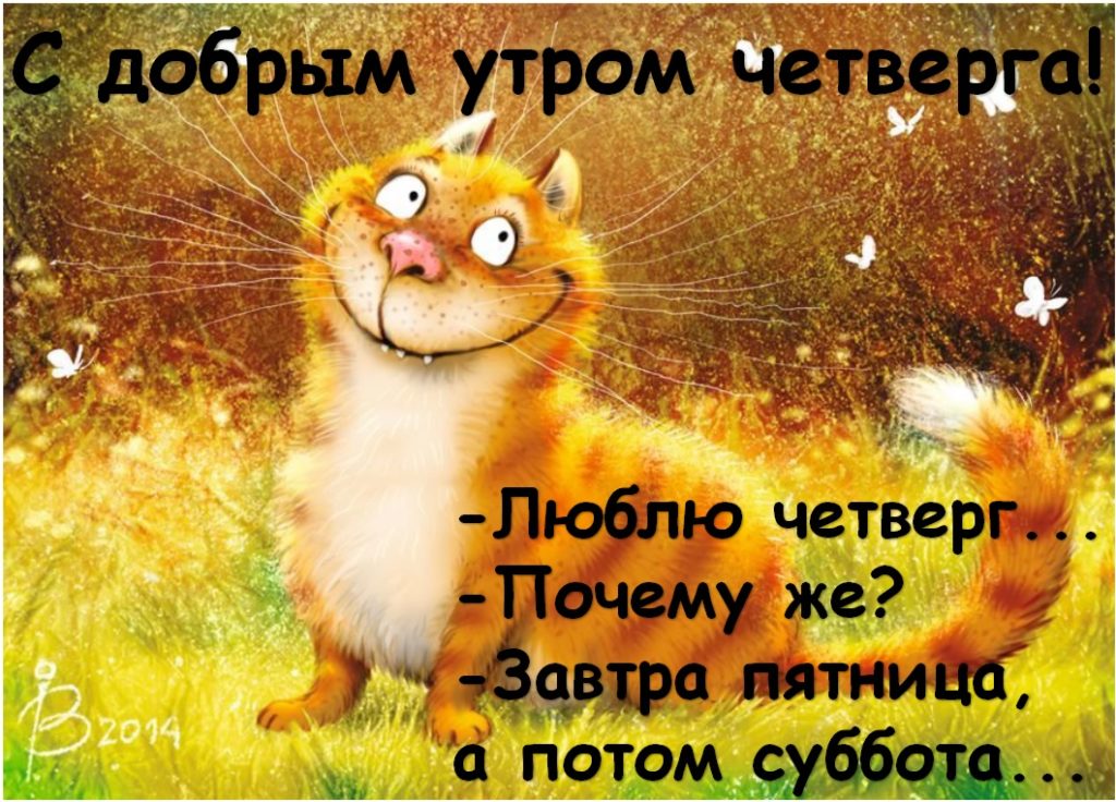 Хостинг картинок yapx.ru