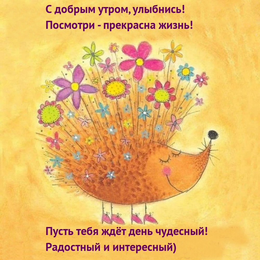 Хостинг картинок yapx.ru