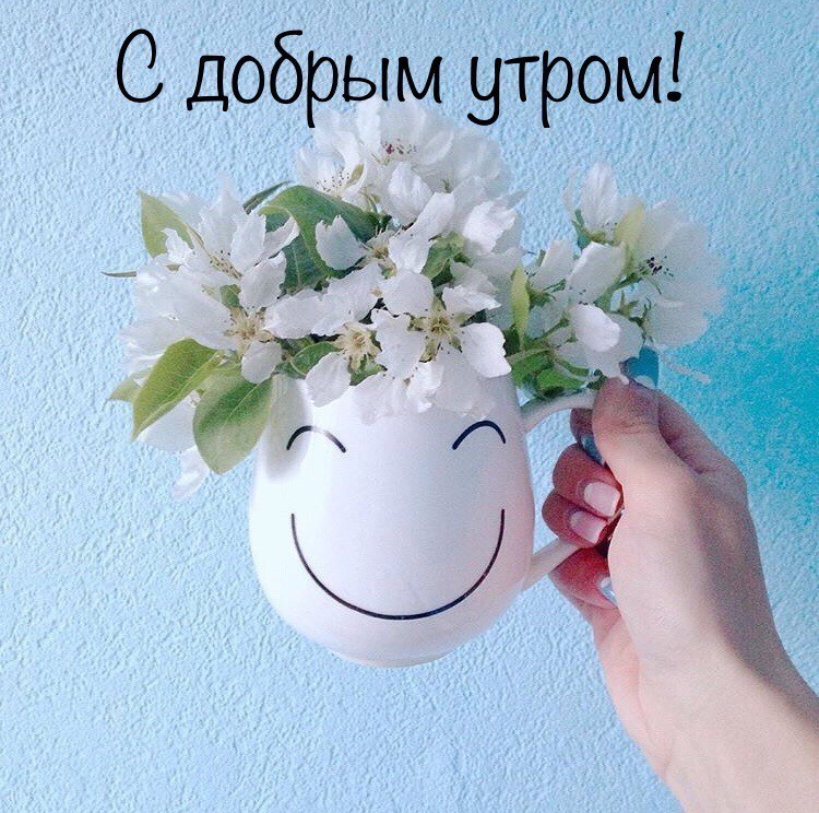 Хостинг картинок yapx.ru
