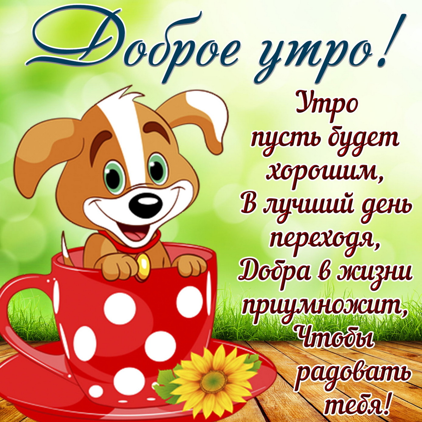 Хостинг картинок yapx.ru