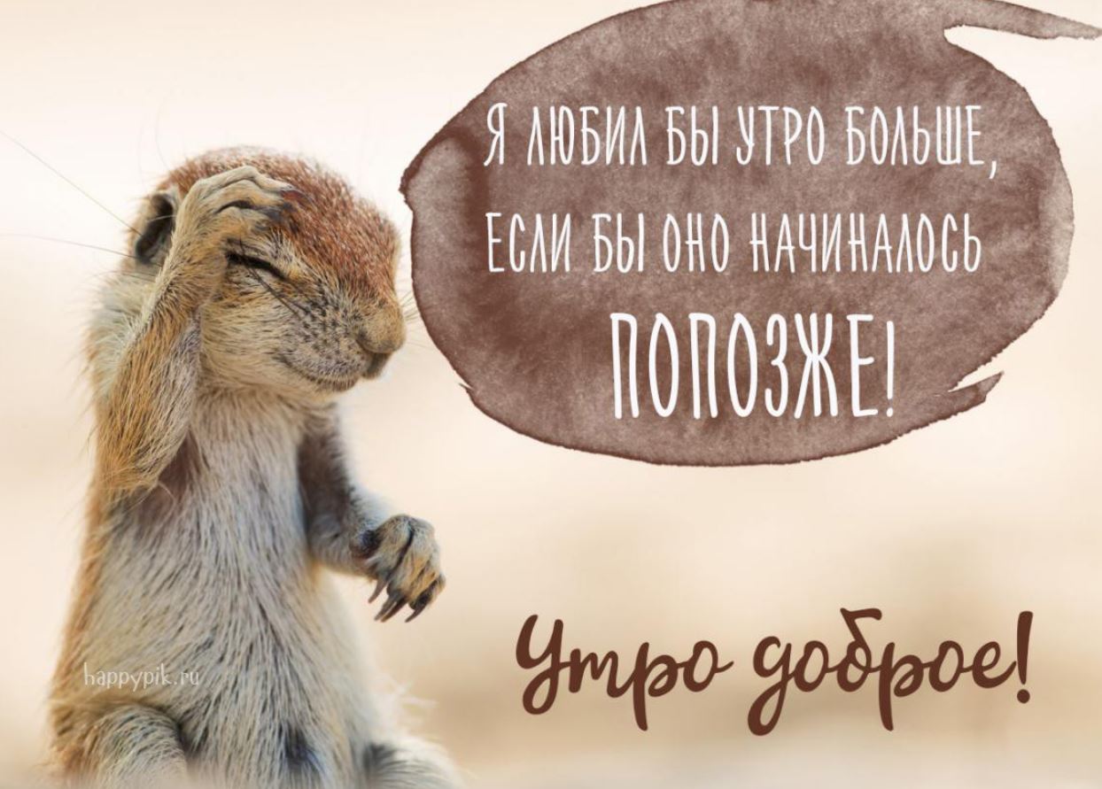 Хостинг картинок yapx.ru